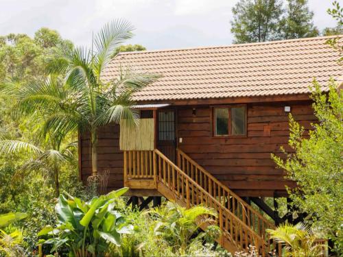 a wooden cabin with a staircase in a forest at Adventurer's Escape HQ in Harkerville