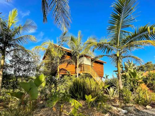 a house on the beach with palm trees at Adventurer's Escape HQ in Harkerville