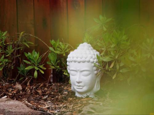 a white statue of a head in a garden at Adventurer's Escape HQ in Harkerville