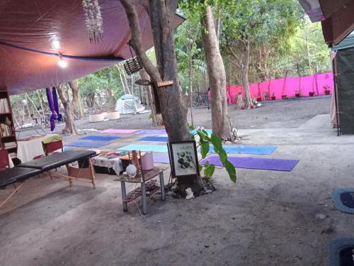 a tent with a table and a tree with yoga mats at JUNGLE GYM LA UNION Prana fan kubo 2 pax in Rimus