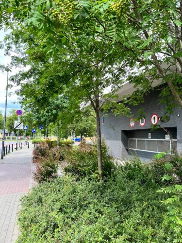 Apartment Metro Słodowiec Free Parkingにある庭