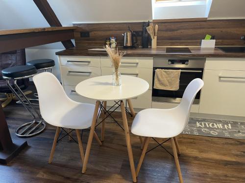 Kuchyň nebo kuchyňský kout v ubytování Jenys Apartment Usti 2