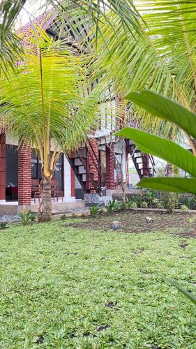 Taman di luar Alen's Stay&surf