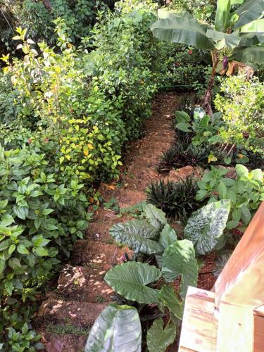 Jardin de l'établissement Samo Eco Lodge