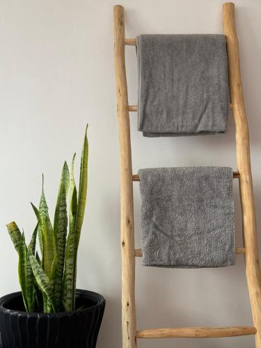 a wooden towel rack next to a plant at Olas Surf Camp in Imsouane