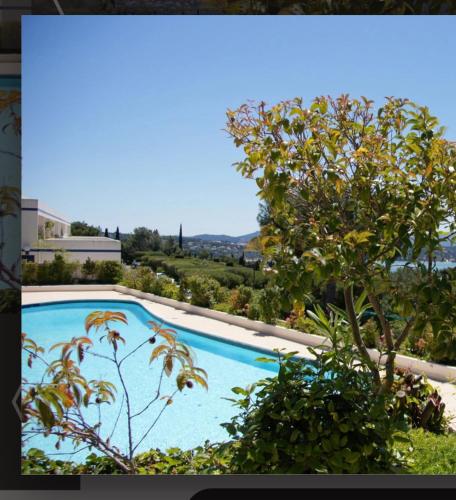 une piscine bleue avec un arbre au premier plan dans l'établissement Terrasse sur Mer KATIKIAS, à Bandol