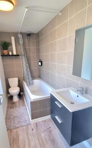 une salle de bain avec une baignoire, des toilettes et un lavabo dans l'établissement New appartement nature cœur de ville, à Avesnes-sur-Helpe
