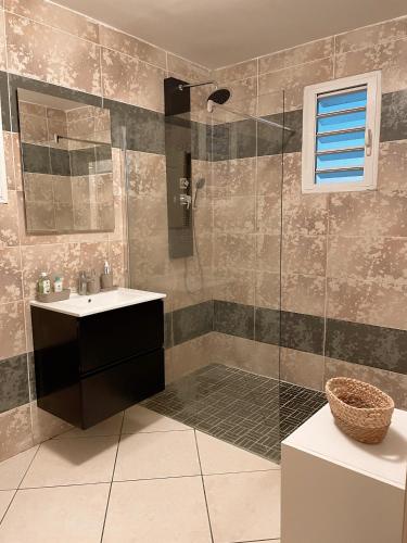 a bathroom with a sink and a shower at Ti Kaz des Roches in Saint-Louis