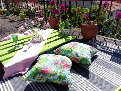 two pillows sitting on a green table with plants at Kalcunova guest house in Sandanski