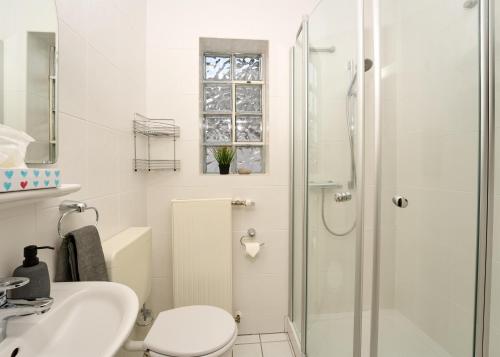 een badkamer met een douche, een toilet en een wastafel bij Landküche - Ferienwohnung in Daun