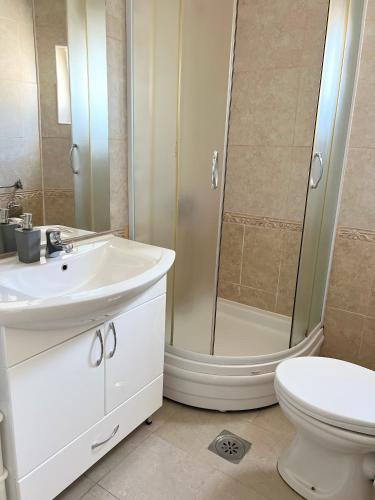 a bathroom with a shower and a sink and a toilet at Apartments Mrdak in Bar