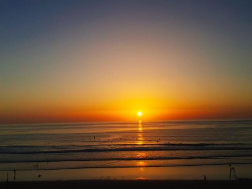 a sunset on the beach with birds in the water at Olas Surf Camp in Imsouane