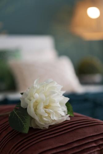 a white flower sitting on top of a hat at 25trilocale Vista Mare e spiaggia Amazzonia style in Diano Marina
