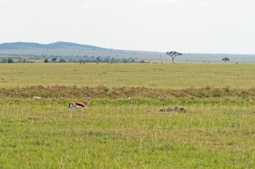 Galería fotográfica de Muthu Keekorok Lodge, Maasai Mara, Narok en Keekorok