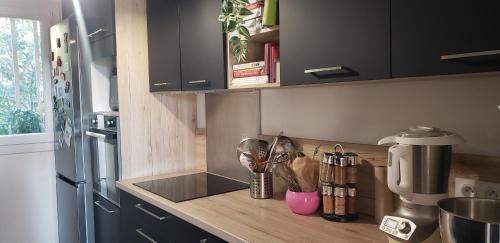 - un comptoir de cuisine avec évier et ustensiles dans l'établissement Entre terre et mer, à Toulon