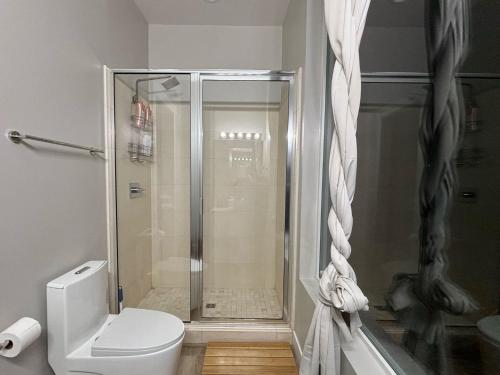a bathroom with a shower and a toilet at Page Arizona border town- Grand Serenity room with Mesa Views in Big Water
