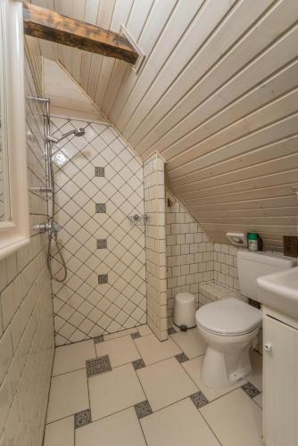 a bathroom with a toilet and a shower and a sink at Karak Chalet in Izvoare