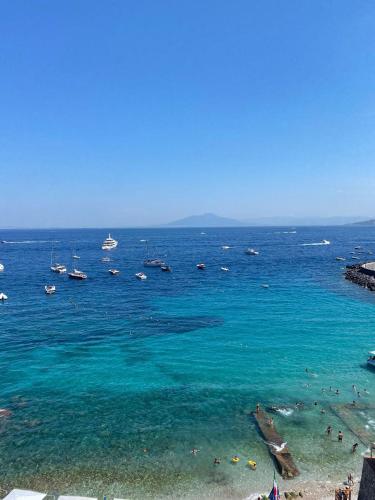 Φυσικό τοπίο κοντά σε αυτό το διαμέρισμα