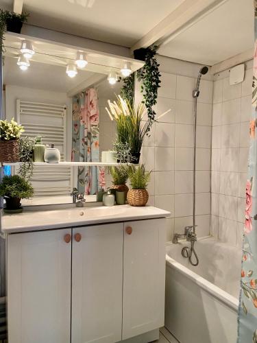 La salle de bains est pourvue d'un lavabo et d'une baignoire avec des plantes. dans l'établissement Le temps d'un passage, appartement de charme en plein centre historique, à Montpellier