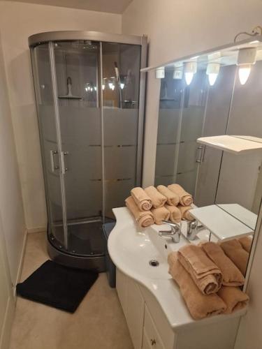 La salle de bains est pourvue d'un lavabo, d'une douche et de serviettes. dans l'établissement Maison de ville, à Doudeville