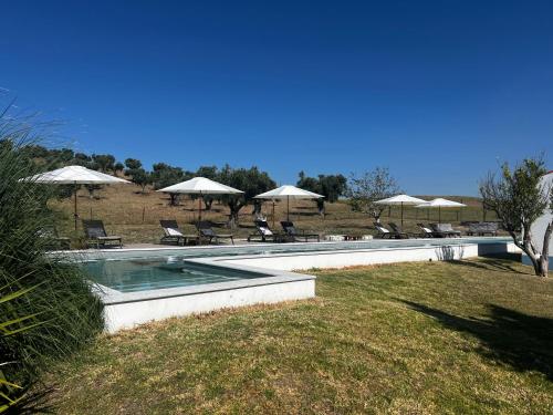 - une piscine avec des chaises longues et des parasols dans l'établissement Herdade dos Sepol, à Odivelas