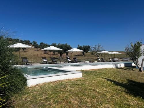 ein Swimmingpool mit Stühlen und Sonnenschirmen in der Unterkunft Herdade dos Sepol in Odivelas