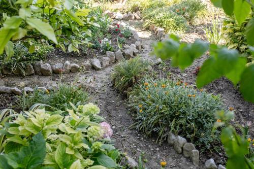 a garden with flowers and plants on a path at Apartmani Zdenka in Rab