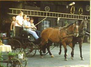 un gruppo di persone che cavalca su una carrozza trainata da cavalli di Landhotel Schwärzhof a Kulmbach