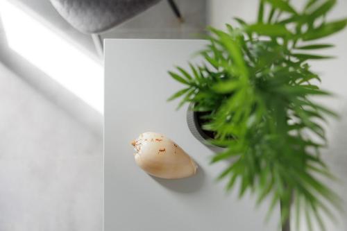 a plant on a table next to a mushroom at Ilios Properties - next to Gouvia Beach in Gouvia
