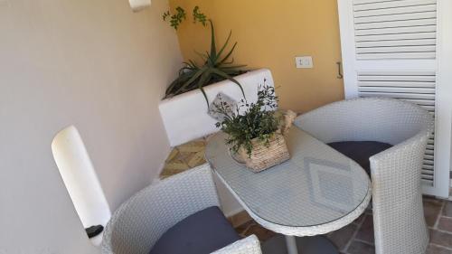 a table and chairs in a small room with a plant at La Limonaia a mare in Ponza