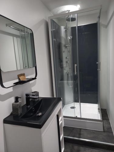 une salle de bain avec une douche, un lavabo et un miroir dans l'établissement La Bergerie de Chantemille - Les Dahlias, à Ahun