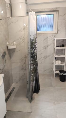 Koupelna v ubytování Balatonföldvár Centrum Apartmanok 3