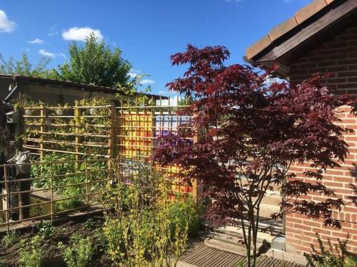a garden with a fence and a tree at Le petit Nid a Coxyde in Koksijde