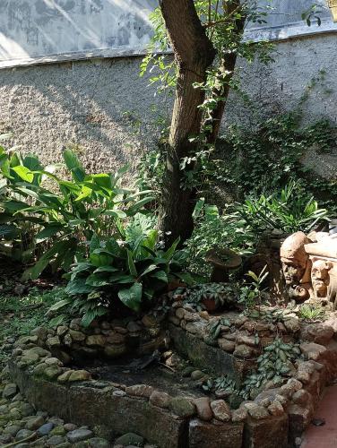 Κήπος έξω από το Pátio Caiçara, Hospedagem, Eventos , Recepções