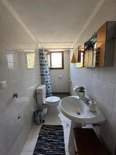 a small bathroom with a toilet and a sink at Villa Nāos - ADAMOS HOLIDAYS in Skala Fourkas