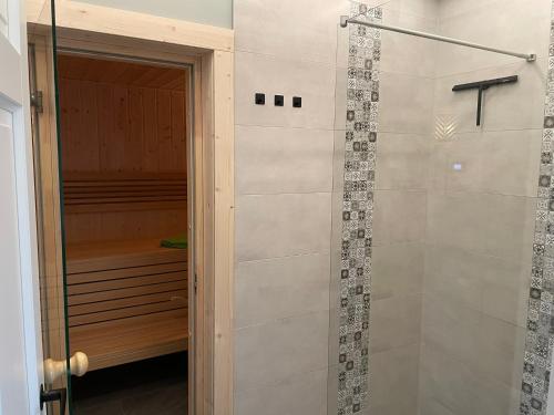 a walk in shower with a glass door in a bathroom at Ferienhaus Inselglück in der Puddeminer Wiek in Poseritz