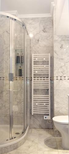 une salle de bain avec une douche, des toilettes et un lavabo dans l'établissement Studio terrasse face à la plage JUAN LES PINS, à Antibes