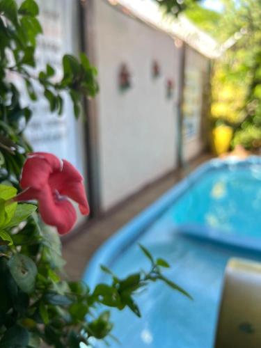 Kolam renang di atau dekat dengan Pousada Flor Dália
