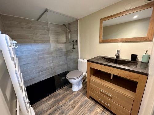 une salle de bain avec toilettes, lavabo et douche dans l'établissement Votre duplex en hypercentre !, à La Rochelle