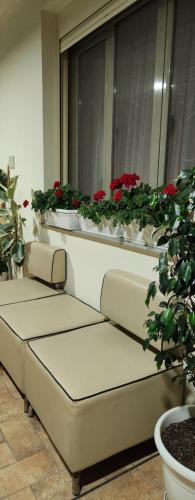 a row of seats in front of a window with red flowers at Hana apartament hot tub in Vlorë