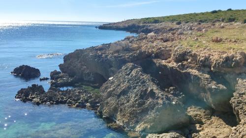 a view of a rocky shore with the ocean at Sicilia bedda in Custonaci