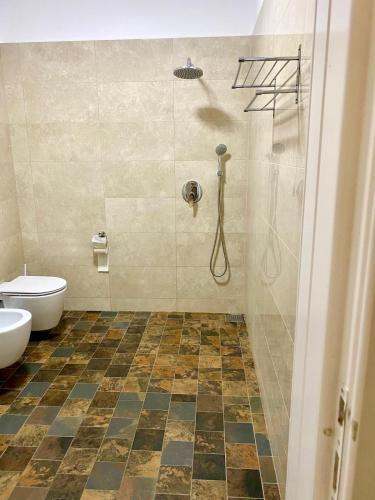 a bathroom with a shower and a toilet at CONFORT HOUSE in Lugoj