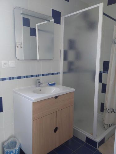 une salle de bain avec un lavabo et une douche avec un miroir dans l'établissement Petite maison plain pied Clohars, à Clohars-Carnoët