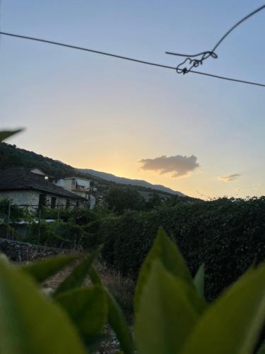 a view of the sunset from a vineyard at Luigi Guest House in Gjirokastër