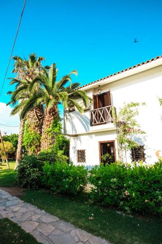 a white house with a palm tree in front of it at Seaside Mikiverna Cozyhome in Kalyves Poligirou