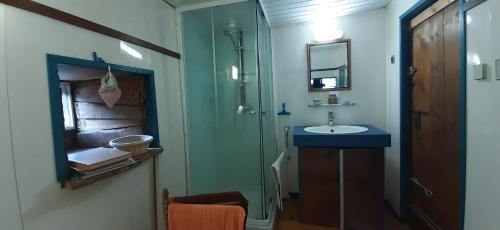 une salle de bain avec un lavabo et une douche en verre dans l'établissement Une maison en pleine nature, à Cubelles
