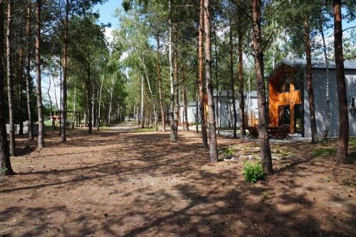 a dirt road leading to a cabin in the woods at Domki SHERWOOD in Gawłowo