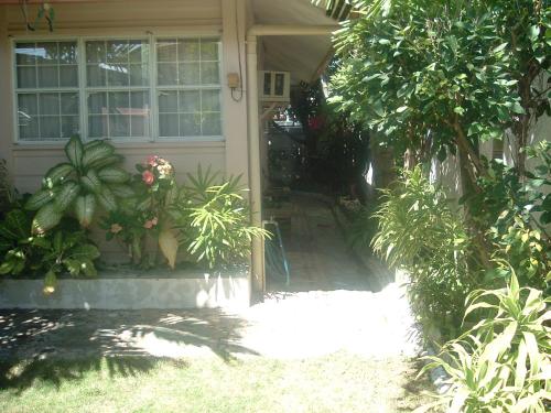 セブシティにあるMactan Cebu Houseの植物家の玄関