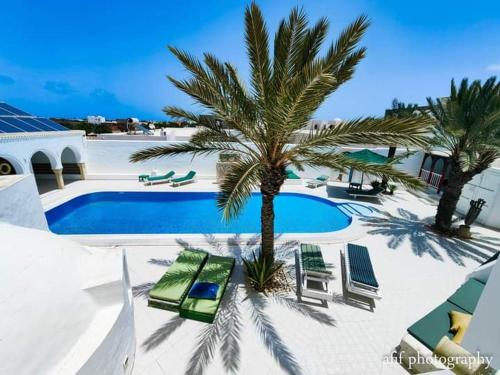uma piscina com cadeiras e uma palmeira em frente a uma casa em Maison Leila chambres d hotes em Midoun