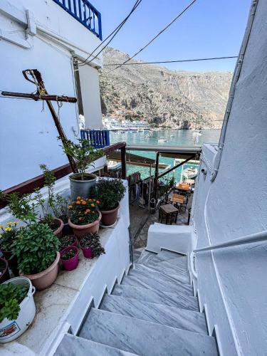 a staircase with potted plants and a view of the water at The Blue House in Loutro